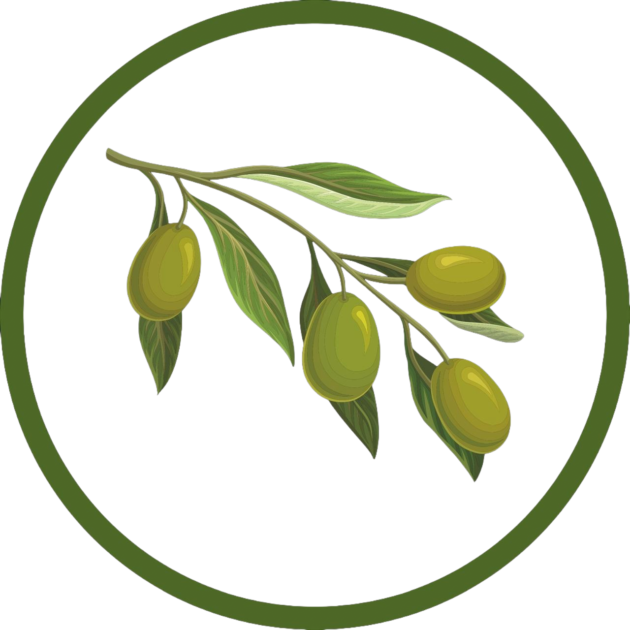 Green Olives Child Development Centre logo